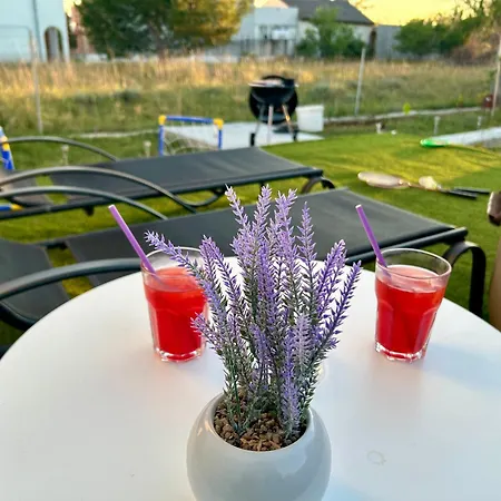 Prázdninový dům Lavanda 1 Privlaka (Zadar)