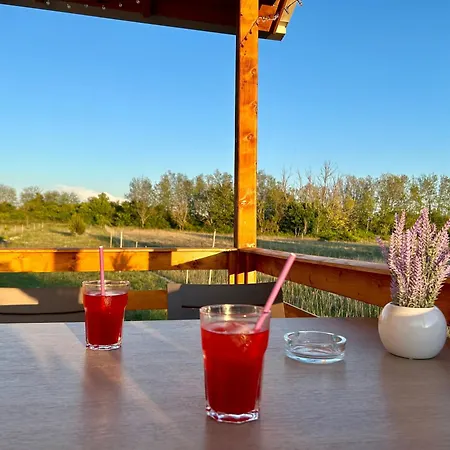 Casa de Férias Lavanda 1